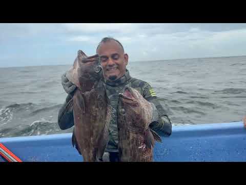 Lobster, Grouper & Snapper Everywhere Trinidad
