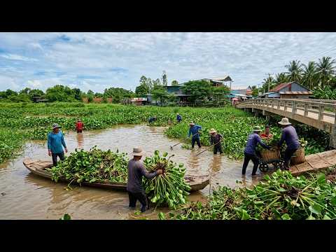 Crucial Mission Clearing Sluice Gates by Removing Floating