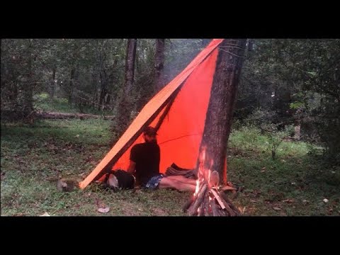 Bushcraft Challenge: solo Camping in the forest