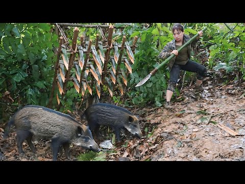 200 days of survival in the wild, building shelters,