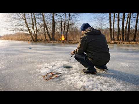 Solo Camping by the river, fishing, catch and cook