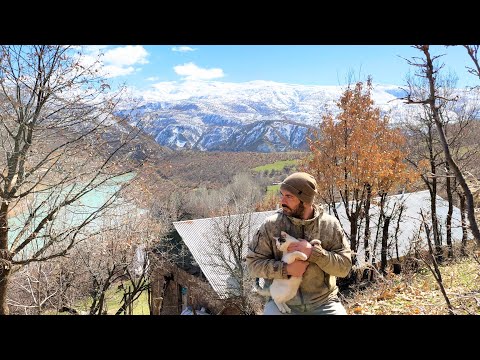 Kendine Kurduğu Küçücük Dünyada Huzuru Bulmaya Adanmış Bir