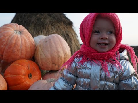 Zabava and Pumpkins. Childhood in the village. Russia. ASMR