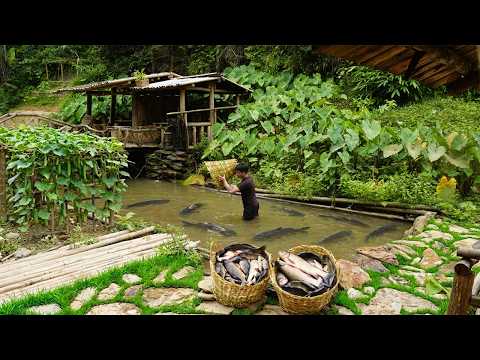 Traditional Rattan Weaving Skills Catching Fish to Sell