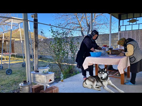 TURKISH BAKLAVA Rural Village Life, How to make Baklava,