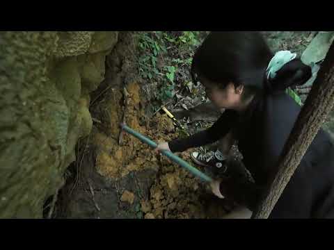 Why was this treasure buried for centuries?
