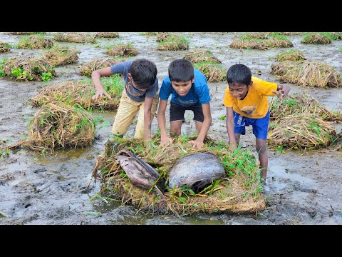 Best Unique Hand Fishing 2026 Search & catching catfish