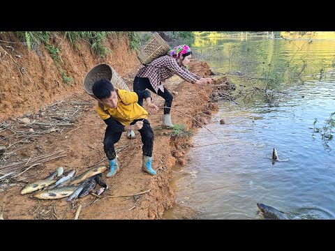 Setting traps along the lakeshore to catch snakehead and