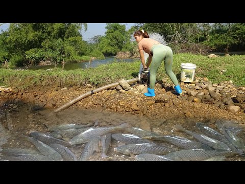 How To Catch Fish In The Wild, Unique Fishing, FISHING with