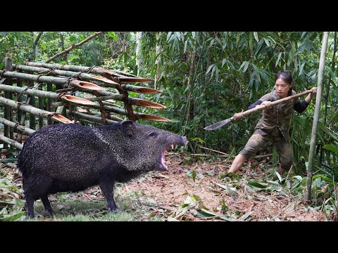 200 days of survival in the deep forest, setting traps,