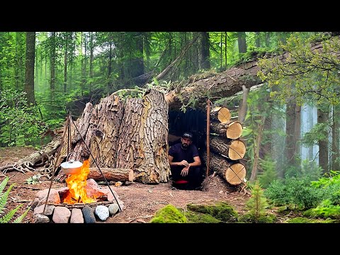 Building a shelter from tree bark
