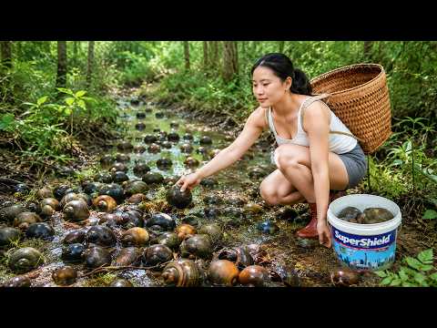 Tief im Dschungel: 1000 kg Flussschnecken geerntet – auf
