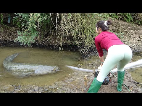 Greatest Fishing Videos, Uniques Fishing, Catching Giant