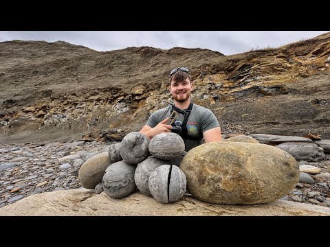 We Cracked Open These Giant 185-Million-Year-Old Stones