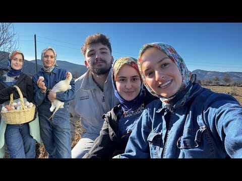 MİSAFİRLERİM GELDİ KÖYE GELEN ÇALIŞIRR