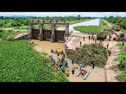 Joining forces to clear away vegetation clogging the dam