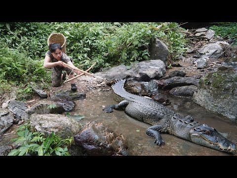 Panicking when discovering crocodiles, skills in setting