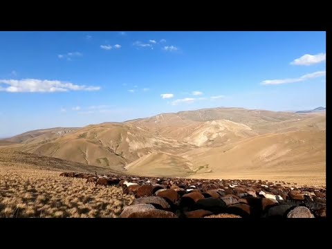 BİR HAFTALIK YOUTUBE CEZASI NİHAYET BİTTİ--