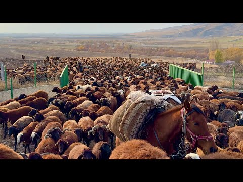 ARAZİLERDEN DAĞLARA DOĞRU ÇIKIYORUZ-SAKİN GÜN