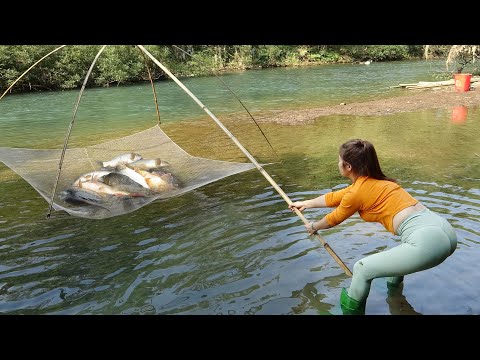 Smart Girl's Unique Fishing | Harvesting Many Fish with
