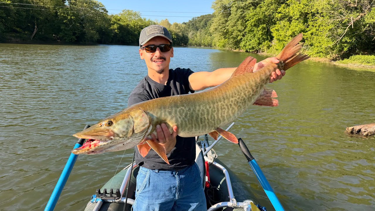 River Musky Smashed the Bucktai