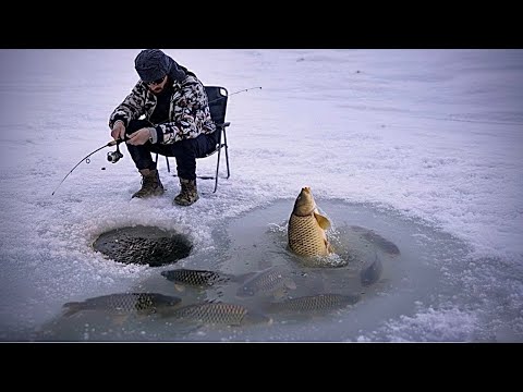 I Caught a Lot of Fish on the Frozen Lake.