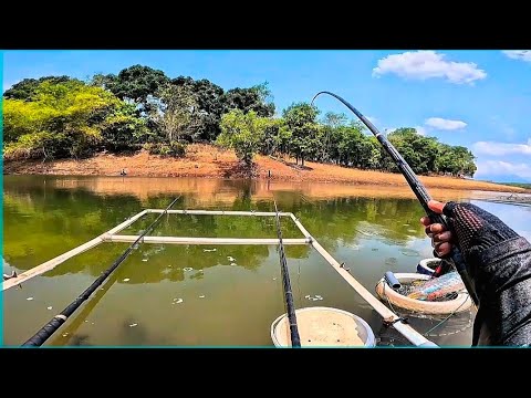 Di spot ini yang naik sudah pasti besar