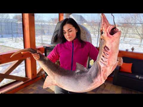Cooking Shark The Ultimate Seafood Challenge