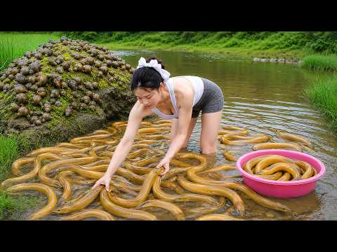 Tief im Dschungel: Fange Viele Aale und Schnecken und