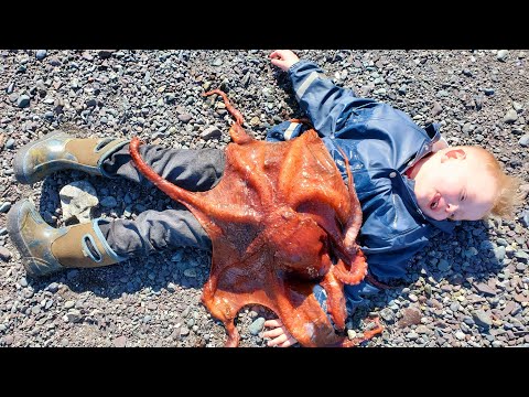 Hunting Giant Octopus, Fishing & Costal Foraging - 3 Day