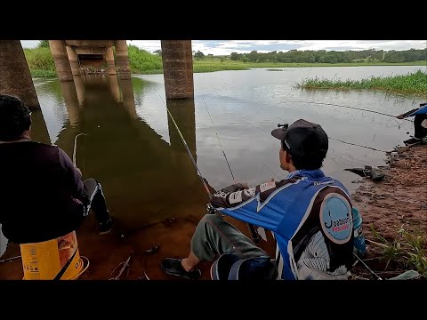 Só gigantes nessa Pescaria não pode nem olhar pro lado que