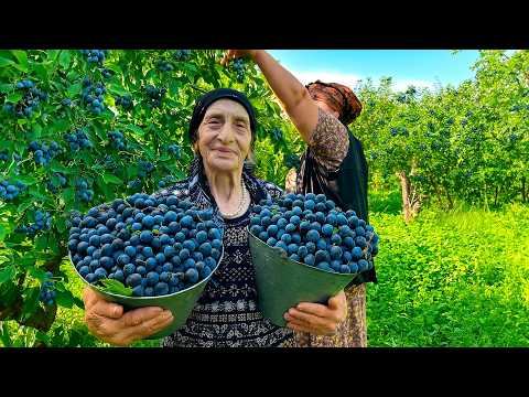 Harvesting Fresh Blackthorn | Homemade Compote & A