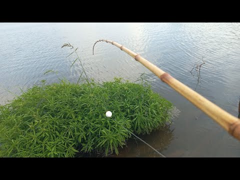 Pescaria de tilapia tucunare e Oscar no Frio usando isca