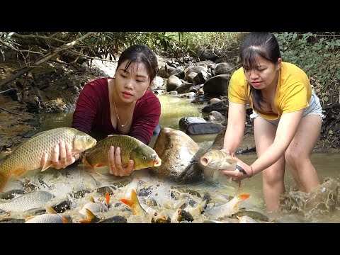 Interesting Fishing: The Girl Harvest a Lot Of Big Fish In