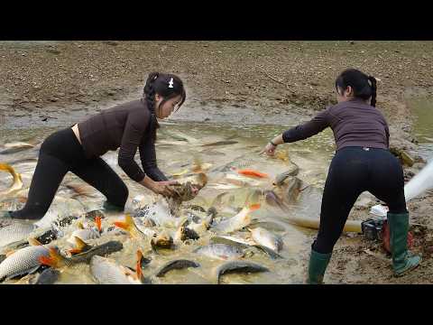 Fishing Exciting, Catch Big Fish With Large Pump Cannon
