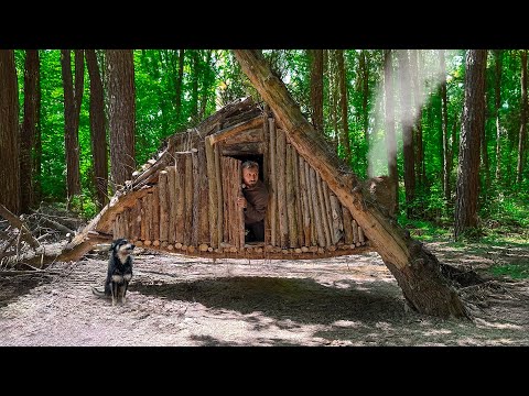 Building a Warm and Cozy Wooden Survival Shelter Bushcraft