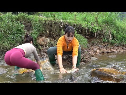 The Girl Fishing Alone on Rivers and Lakes, Amazing Fishing