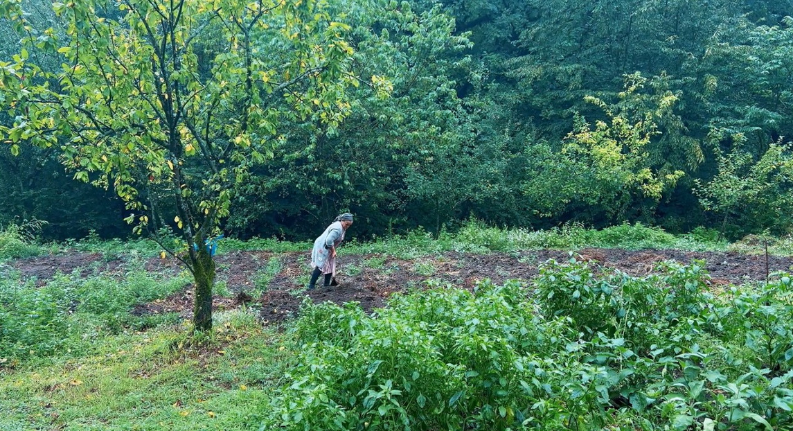 Far From Civilization: A Lonely Woman's Self Sufficient