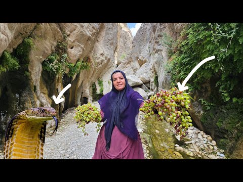 Kulthum's dangerous adventure in the mountains:From the