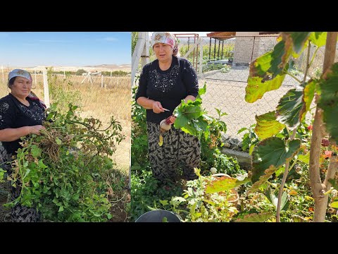 HATİCE HANIM YİNE SİNİRLENDİ BAHÇE DÜZENLEMESİ