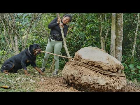 My dog ​​helped me discover something unbelievable under