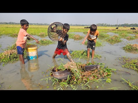 Giant Fish Caught in Muddy Water