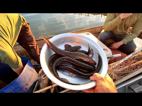 Pescaria de Dourado e barbados no Rio turvo usando boião