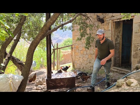 Yalnız bir adamın yüksek dağ köyünde hayvanlarla mutlu