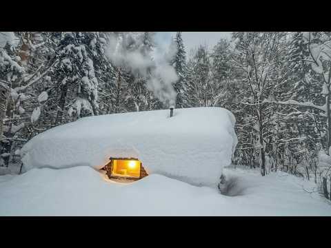 We have built a Log Cabin where we can Survive the harsh