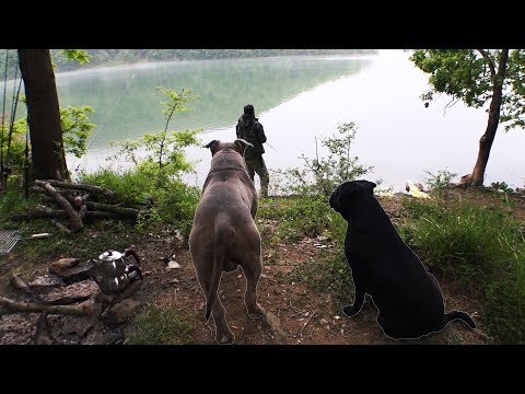 Pitbullar İle Balık Avı ve Kamp (Bölüm I)
