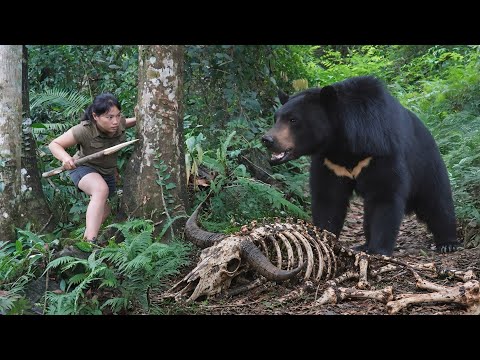 Survival Skills: Attacked by Wild Animals in the