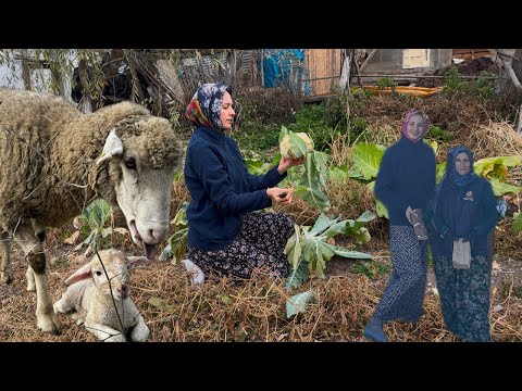 KÖYDE YAŞAM KIŞA HAZIRLIK