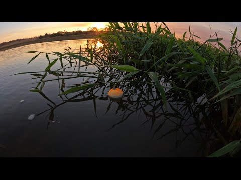 Pescaria no Rio Paranaíba em limeira do oeste encontramos