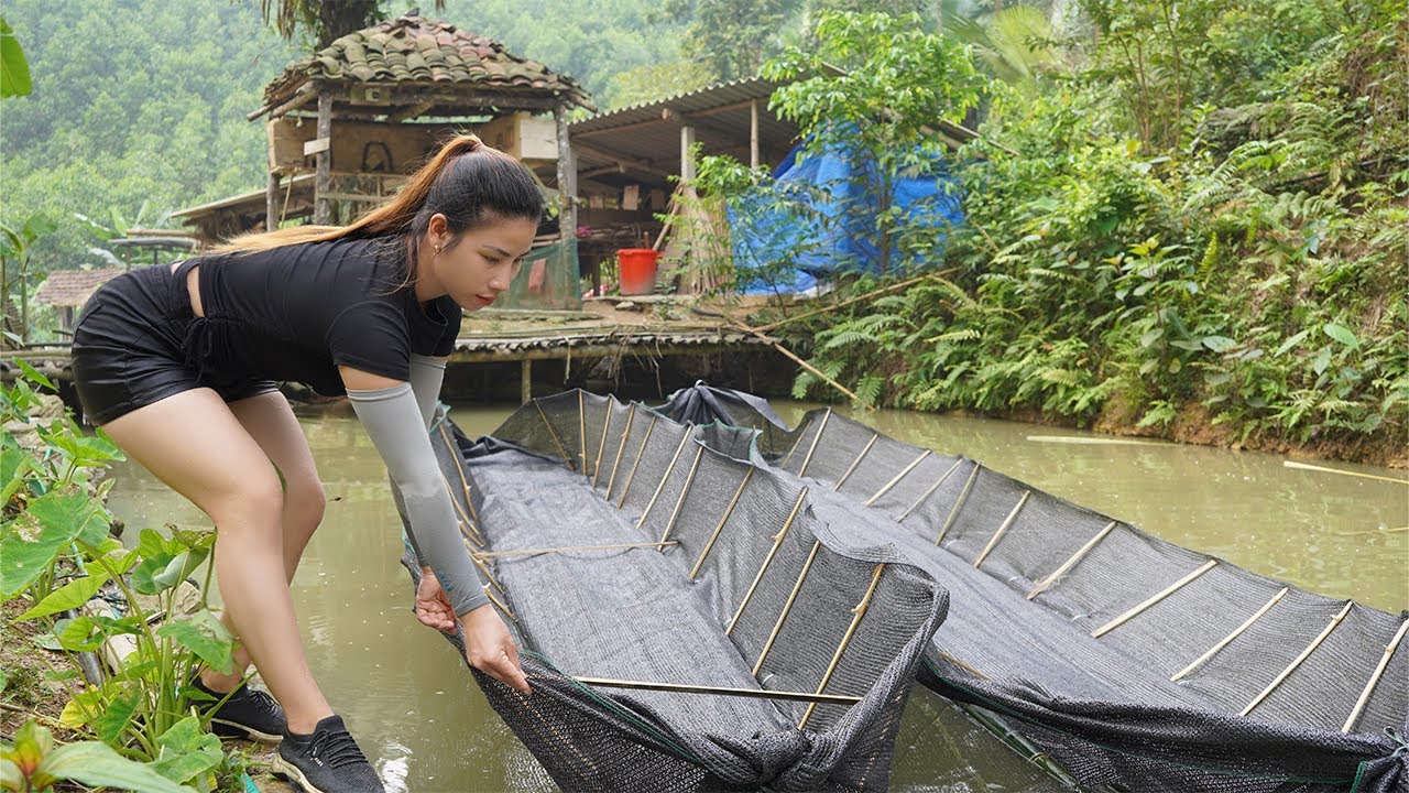 Full video _ 30 days: how to make a handmade fish trap and